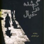 گم شده در خیال