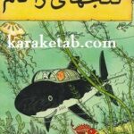 گنجهای راکام