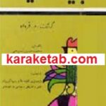 کتاب گنجینه لطایف