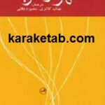 گهواره گربه